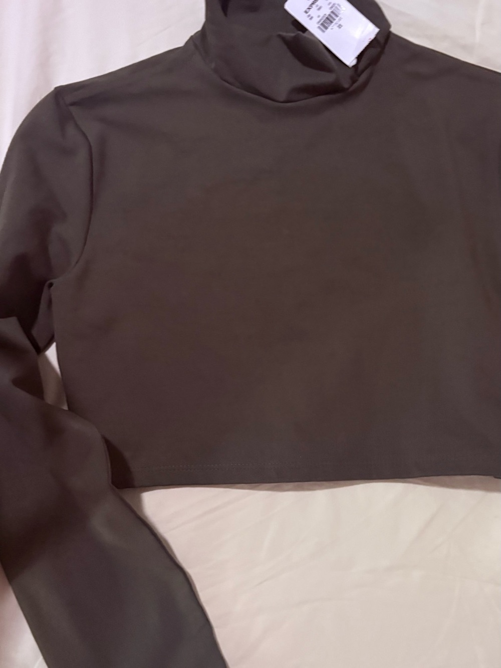 Express Olive Cropped Turtleneck Top